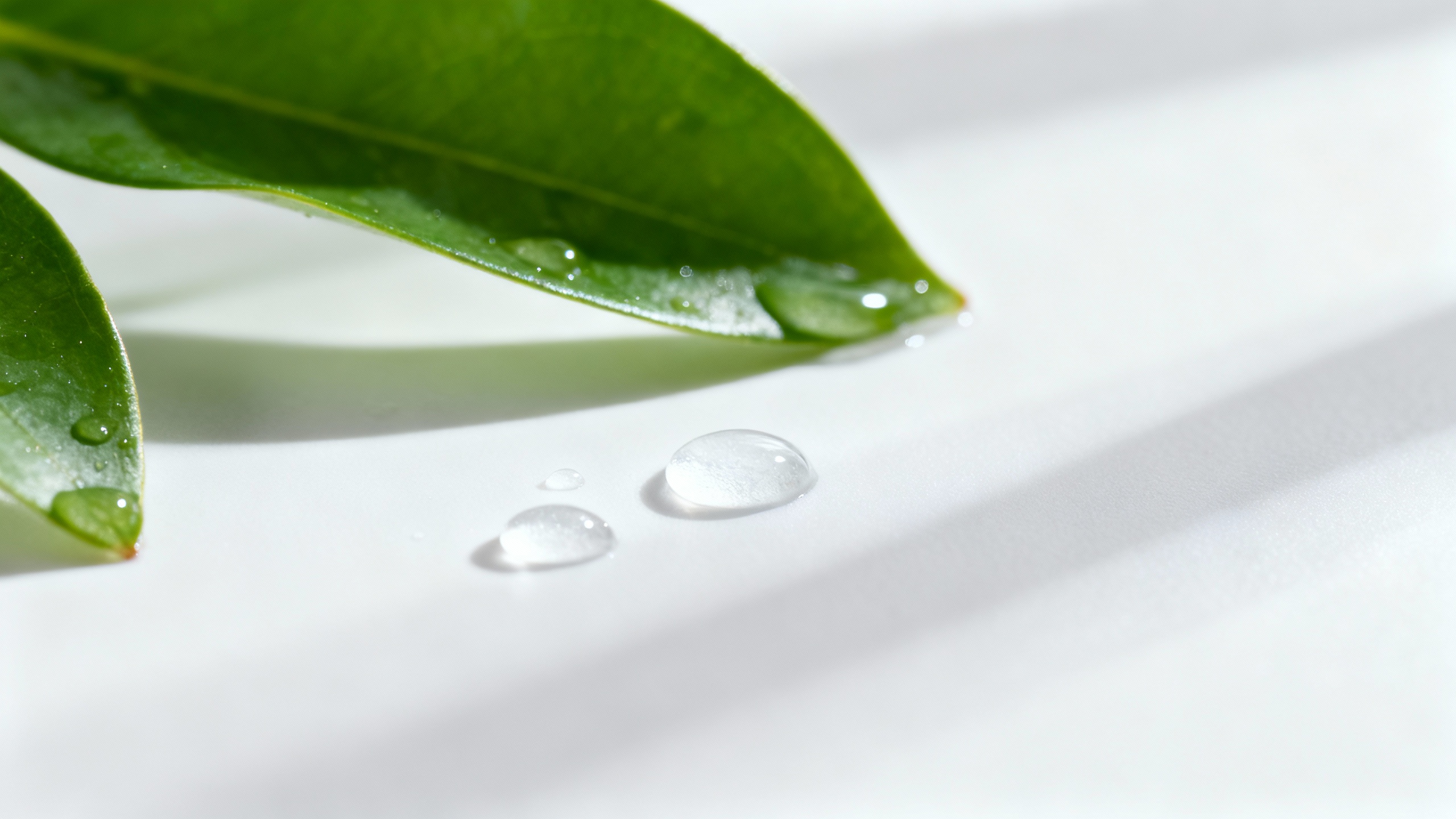 Featured image for Best Tips on Curing Acne – How to Get Rid of Your Unsightly Acne Permanently!